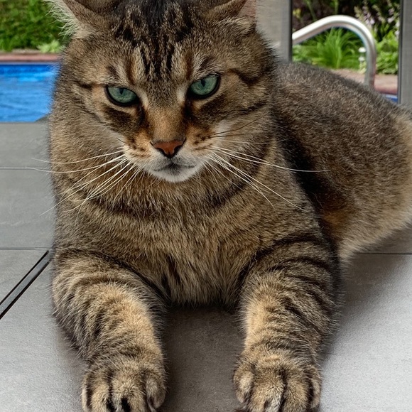 Meet your Posher, Elena - Picture 2 of 2